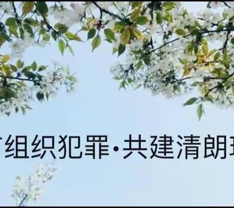 农行城西支行滨西支行组织网点员工开展《中华人民共和国反有组织犯罪法》线上学习活动