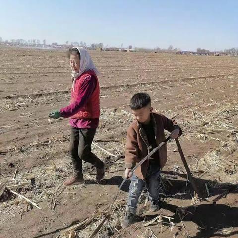 我的综合实践活动.一年二班宛嘉轩