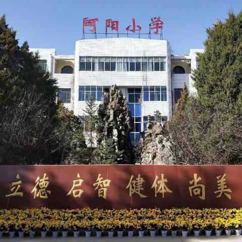 落实五项管理     促进全面发展