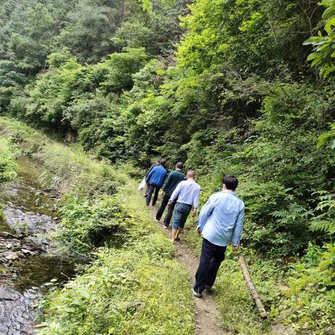 合旺村自然形成的小溪---石枧坑