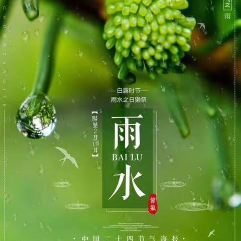 2020的雨水