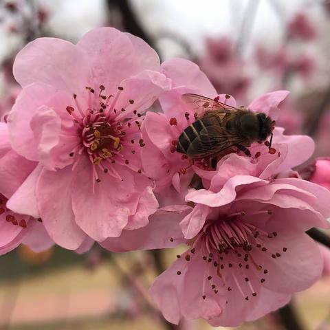 咸嘉湖景区物业服务中心2月份月报