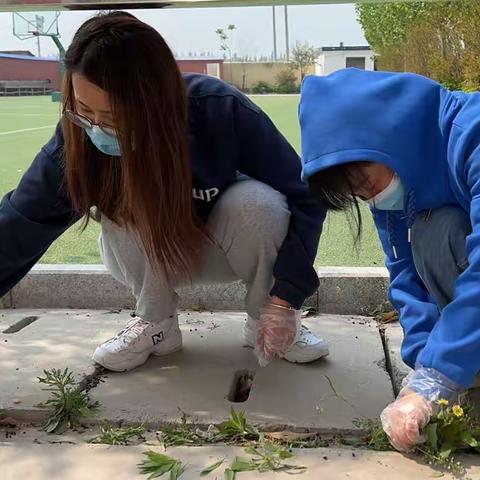 蓄势待发，静待复学——顺河集小学集中大扫除