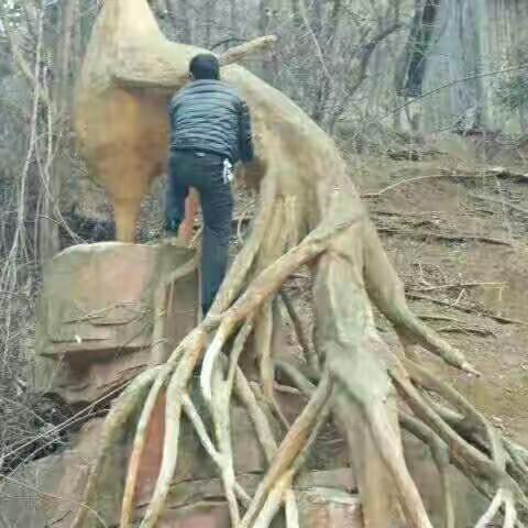 爱情不能见阳光。