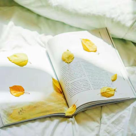 闫庄小学三年级“我要读”活动系列展示——诵读美好品质，畅享美妙人生