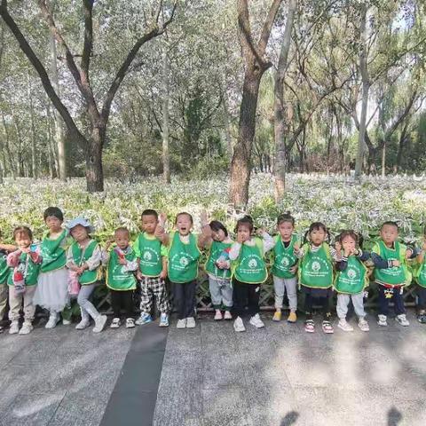 明育德幼儿园旭日班研学活动-森林公园