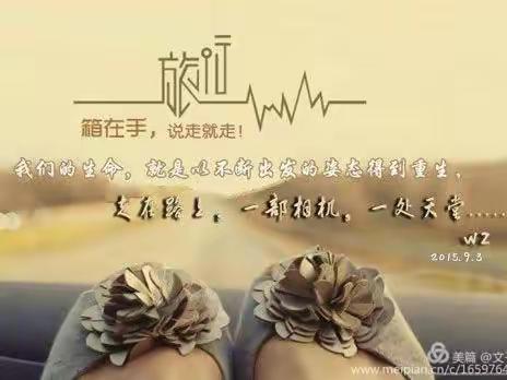 箱在手，说走就走