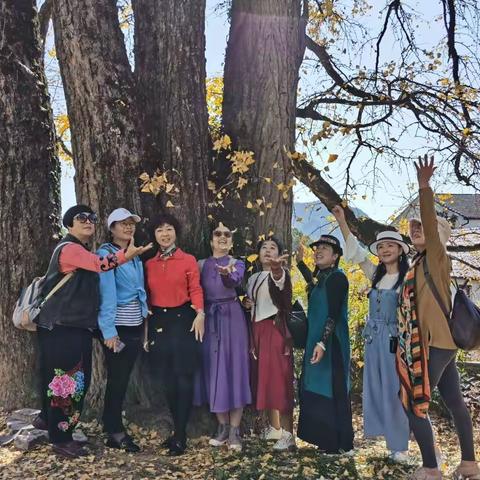 红叶指南🍁
