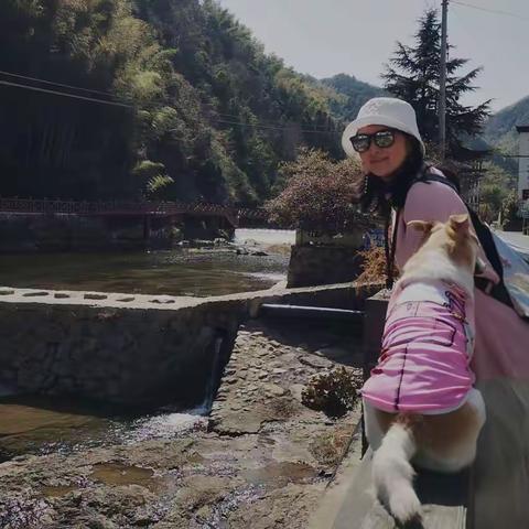 阳春三月