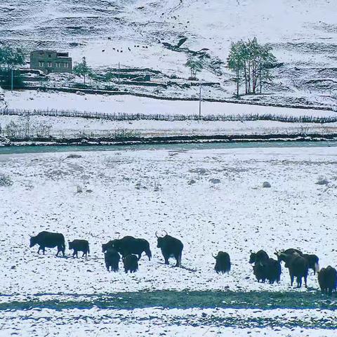 川西旅记2005（一）