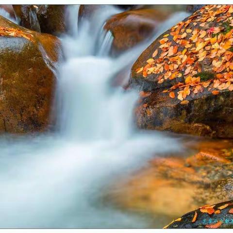 《光雾山之秋》