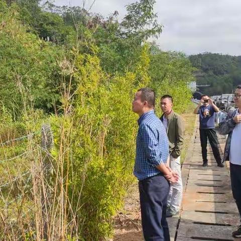 水保移民处开展生产建设项目水土保持设施自主验收核查