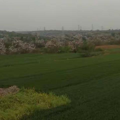 以爱育爱
