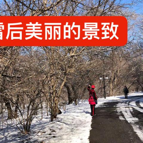 好好👍虎气冲天大喊一声哈！
