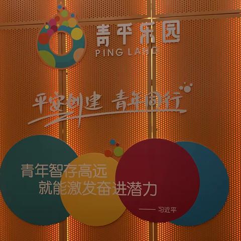 市委政法委到龙华调研市域社会治理现代化试点工作