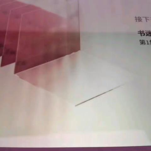 芒市一小289班七色花小队雏鹰假日活动—小视频大世界我看《书迷》有话说