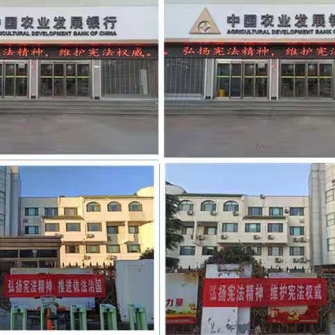 农发行聊城市分行开展国家宪法日宣传活动