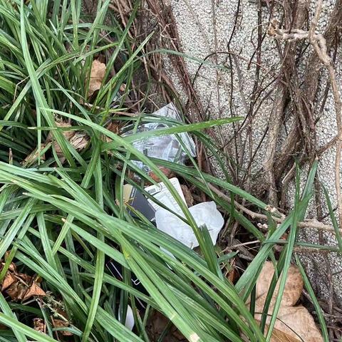 2022年11月26日齐鲁监理A包养护巡查报告