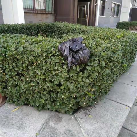 2022年11月15日齐鲁监理A包养护巡查报告