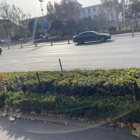 2022年12月12日齐鲁监理A包养护巡查报告