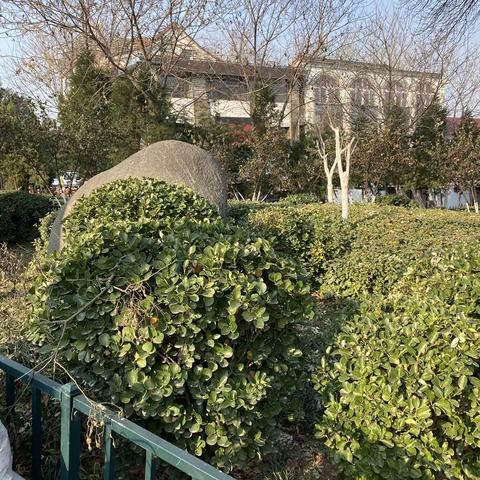 2022年12月6日齐鲁监理A包养护巡查报告