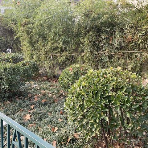 2022年12月8日齐鲁监理A包养护巡查报告