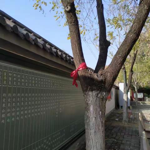 2022年11月24日齐鲁监理A包养护巡查报告