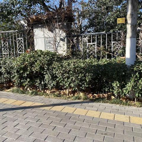 2022年12月14日齐鲁监理A包养护巡查报告