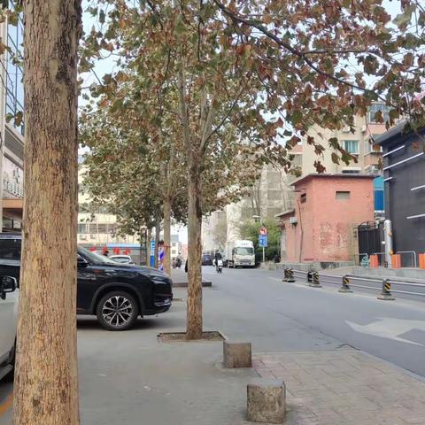 2022年12月10日齐鲁监理A包养护巡查报告