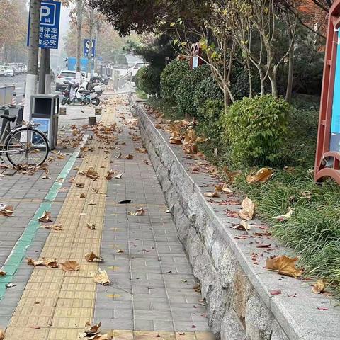 2022年11月21日齐鲁监理A包养护巡查报告