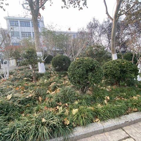 2022年12月9日齐鲁监理A包养护巡查报告