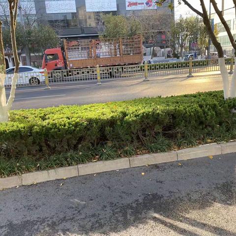 2022年11月16日齐鲁监理A包养护巡查报告