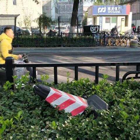 2022年11月19日齐鲁监理A包养护巡查报告