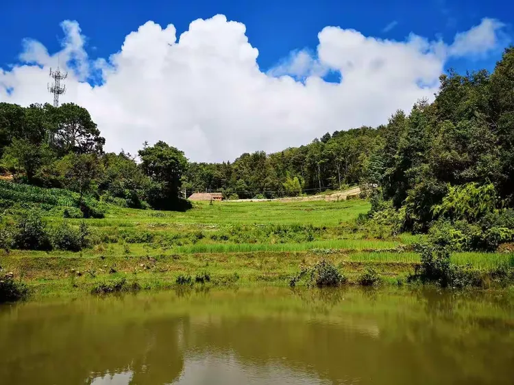 2019.7云南开远市小龙潭