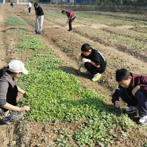 耕耘现在，收获未来——常德市一中柳叶湖学校45班