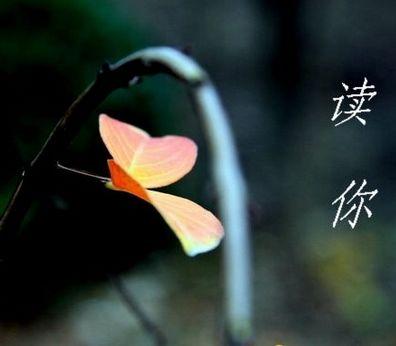 【原创诗歌】，读你