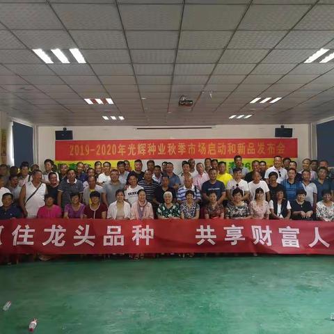 走过路过，千万不要错过，龙头品种闪亮登场！