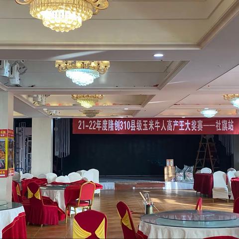 21-22年度隆创310县级玉米牛人高产王大奖赛——社旗站