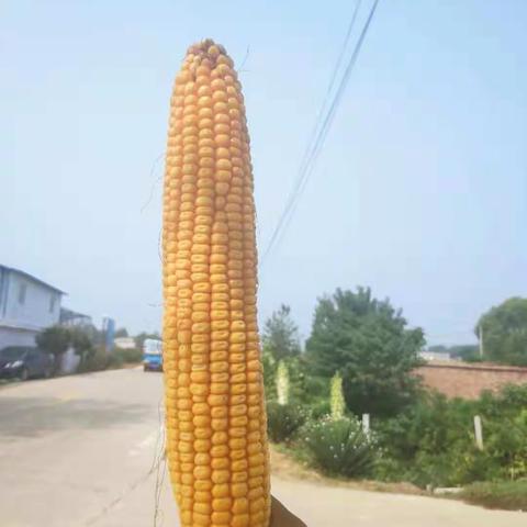 隆创褀华三县连动，引爆皖苏！