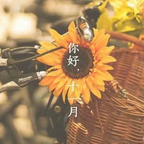 多彩“十一月”💐快乐“每一天”