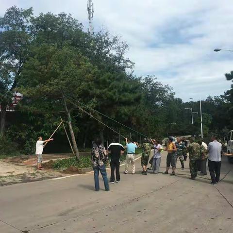 北戴河区园林管理局8月3日防汛抢险纪实（浓缩版）——团结就是力量！！