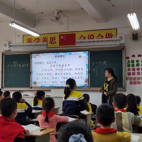 精彩语文课堂   教研共同成长———记金岸小学语文高段组教研活动