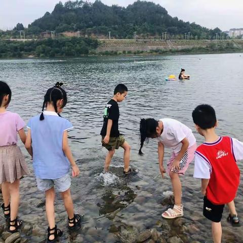 滨江小学三年级六班王晨曦的暑假生活