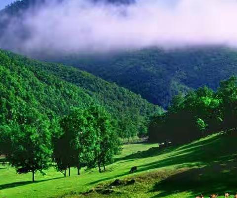 后山境～后山人的幸福生活