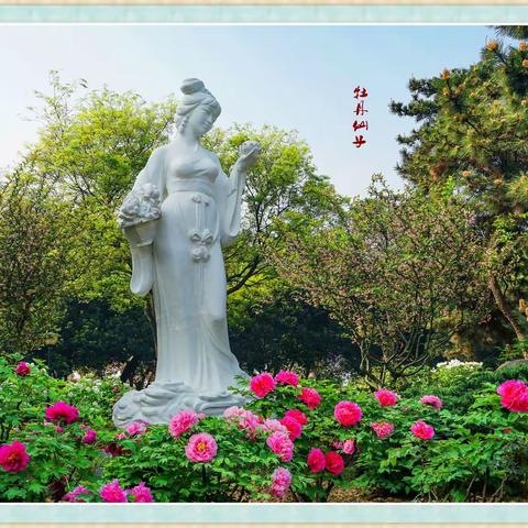 云淡风轻的美篇