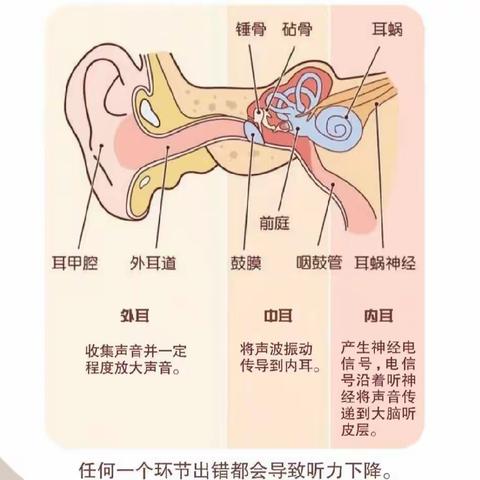 爱耳，从现在做起