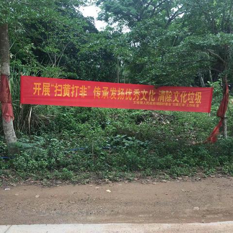 文城镇湖园村委会“扫黄打非”行动进行时