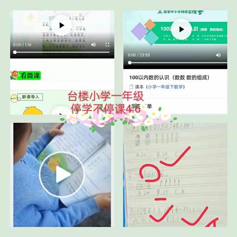 天涯区台楼小学“停课不停学，停课不停教”第一天有序进行（一）