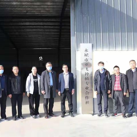 农业农村部组织专家组赴我市开展大豆玉米带状复合种植推广技术指导