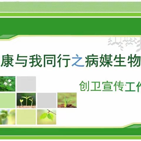 【阎良教育·西飞四小】开展病媒生物防制宣传工作 预防传染病传播